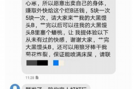 陕西贷款清欠服务